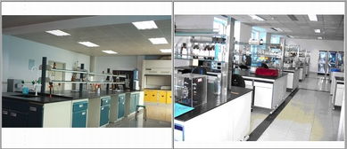 禽藥與獸藥新技術交流 以質量為核心，共筑未來獸藥發展之路